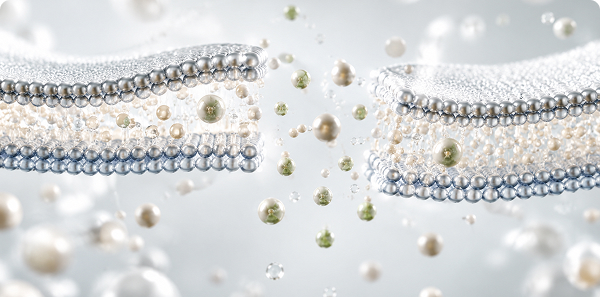 Molecular Size Reduction & Solubilization